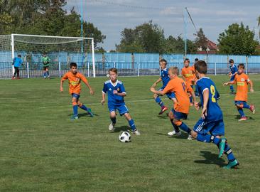 Сотрудничество с корейскими добровольцами